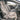 Car interior with gray Sheepskin Car Seat Covers made from sheepskin long wool on the front seats. #color_grey